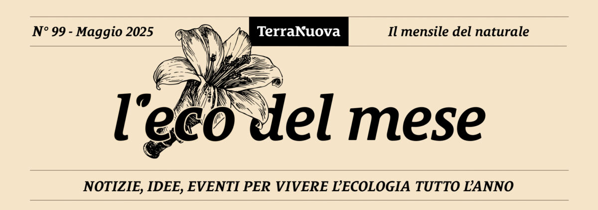L’Eco del Mese