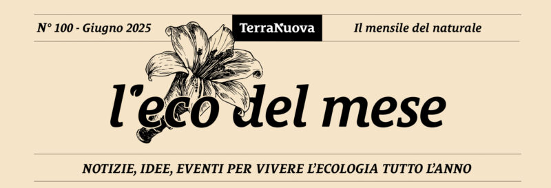 L'Eco del Mese di Giugno