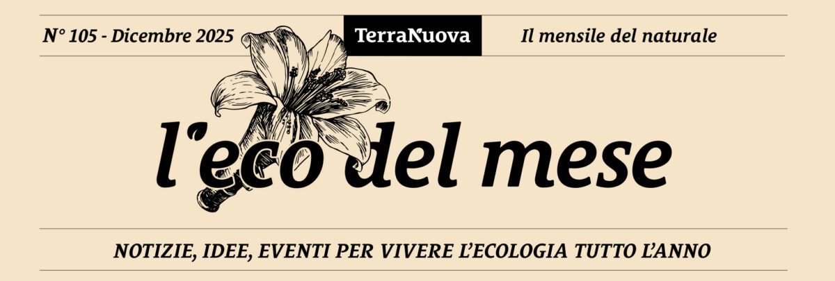 L’Eco del Mese