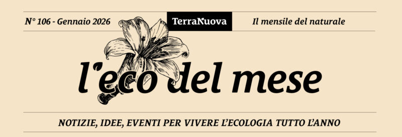 Eco del Mese Gennaio 2026