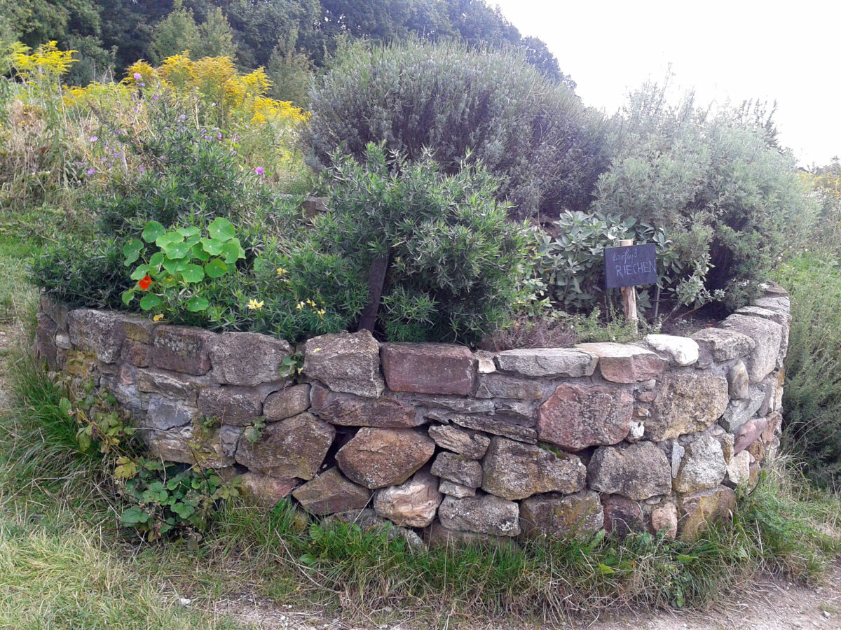 Come realizzare la spirale delle erbe aromatiche