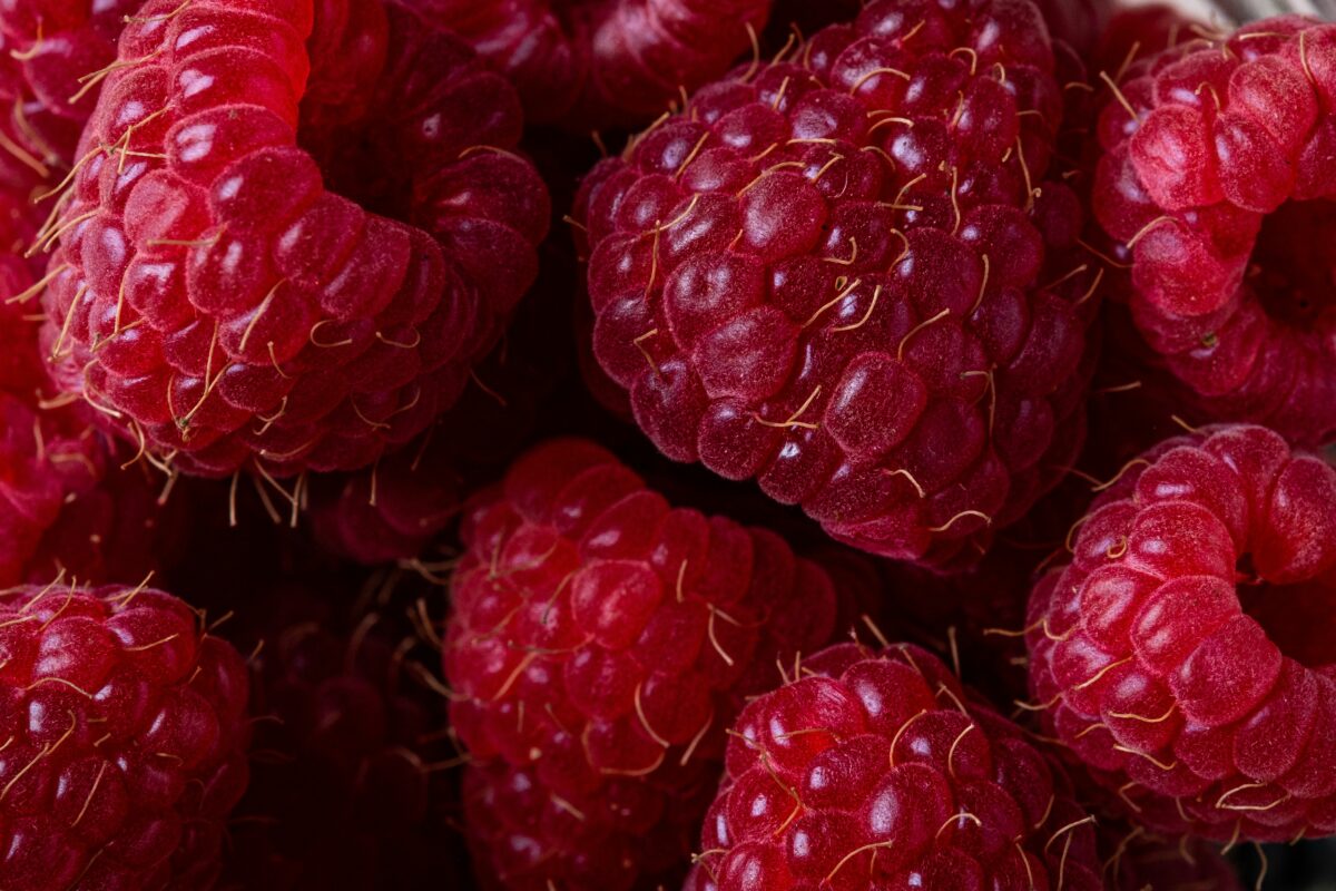 La ricetta della citronette ai lamponi