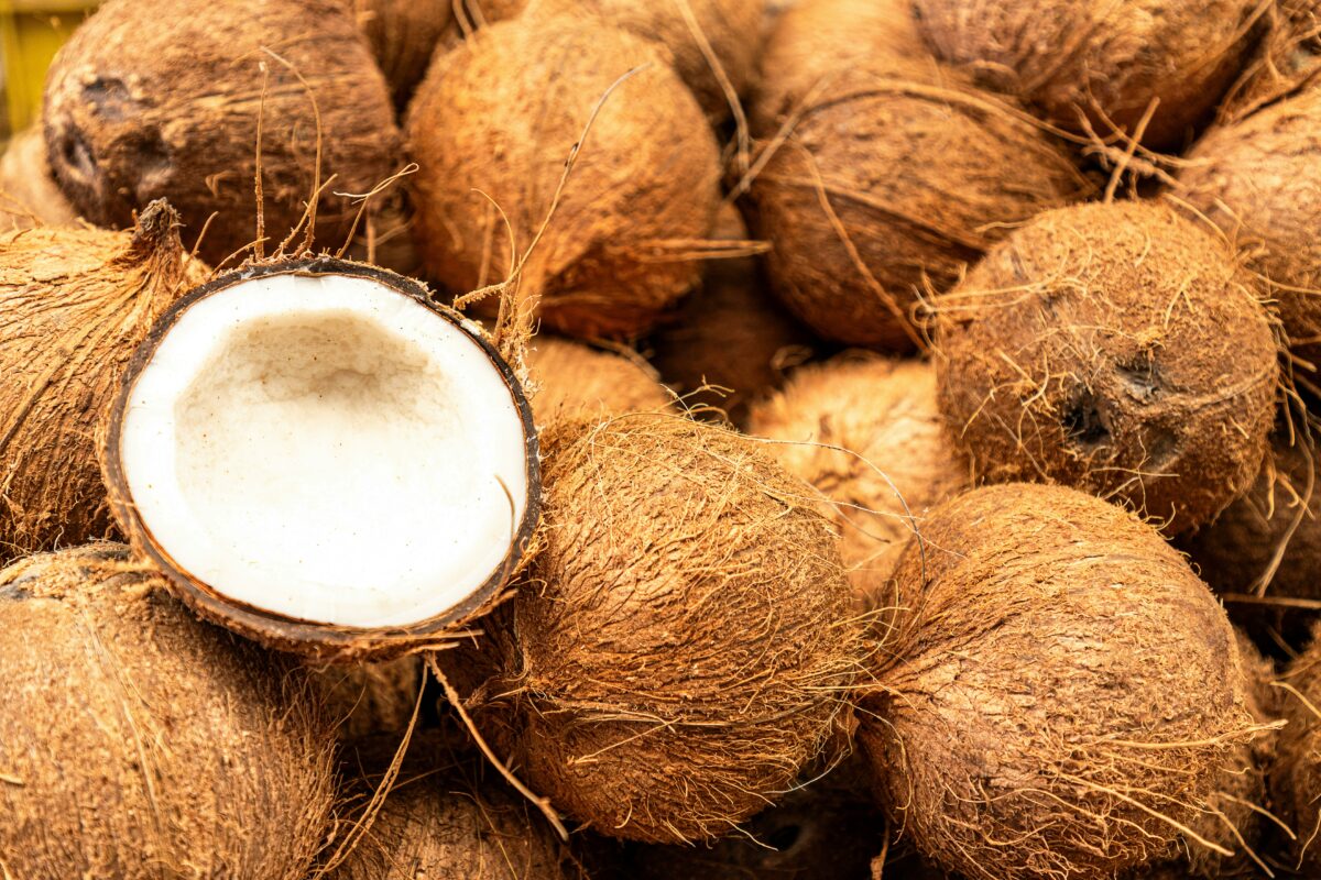 Latte e panna di cocco fatti in casa