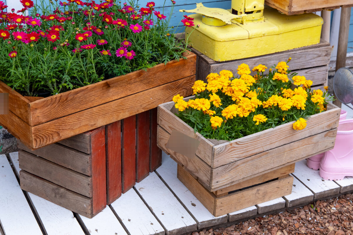 Vasi fai da te per l’orto e il giardino