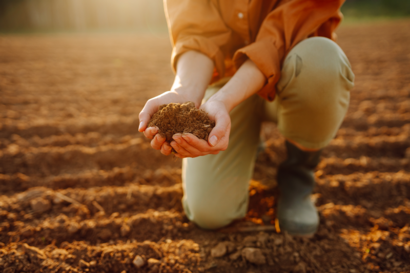 Come fare il compost secondo l'agricoltura biodinamica