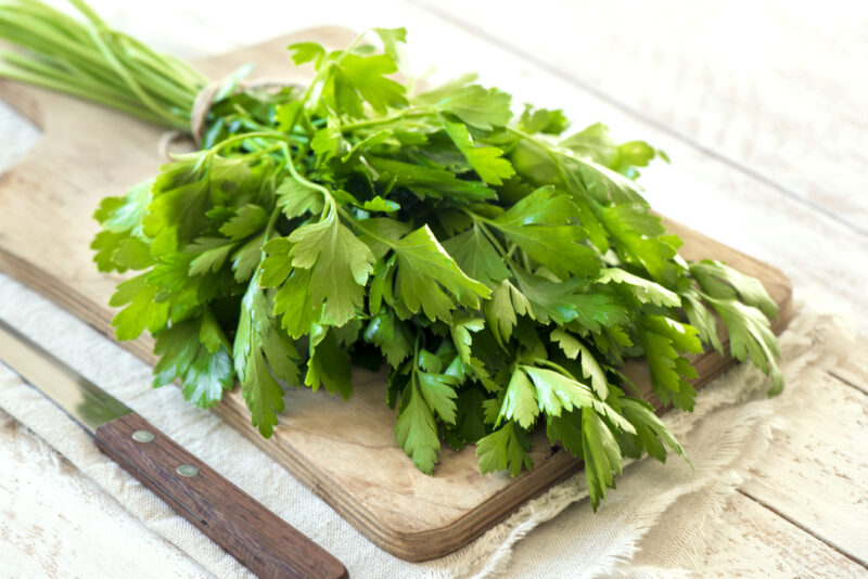 Prezzemolo, una pianta aromatica da scoprire