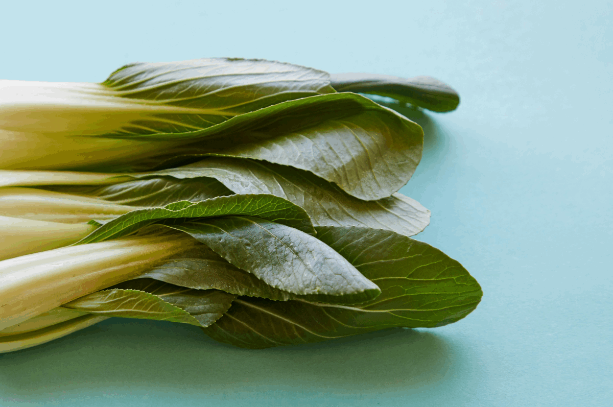 Pak Choi. Il cavolo che sembra una bietola