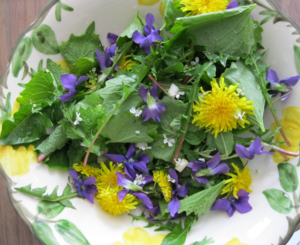 Come preparare una insalata di piante spontanee