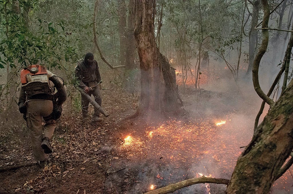 Greenpeace: «Come la carne venduta in Europa distrugge il Pantanal»