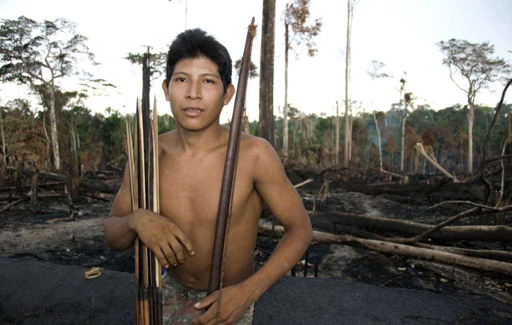 Survival: «Amazzonia, continua il rogo delle foreste e il saccheggio delle terre indigene»