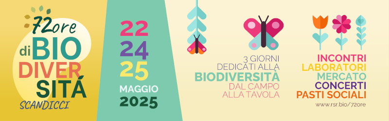 72h2025