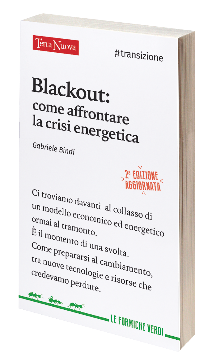 Blackout: come affrontare la crisi energetica