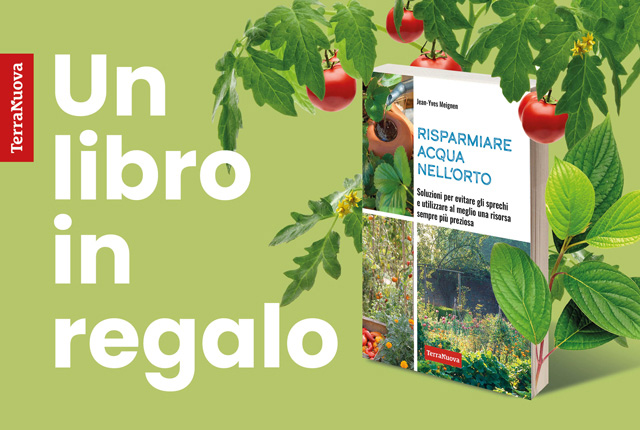 In regalo per te “Risparmiare acqua nell’orto”