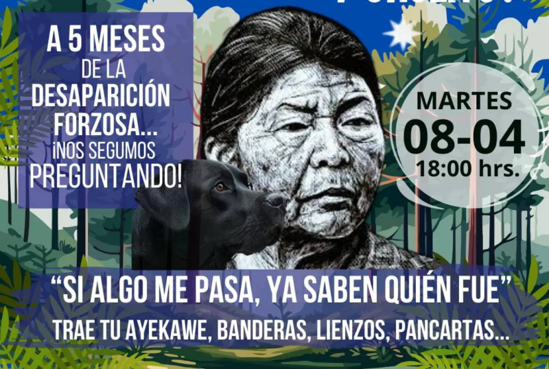 Attivista mapuche scomparsa da cinque mesi
