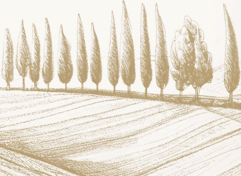 Come utilizzare al meglio il suolo e fronteggiare i cambiamenti climatici? Le key line e l’agroforestazione in orticoltura e frutticoltura sono due tecniche fondamentali per un’agricoltura che non teme la scarsità idrica. Vediamo come.
