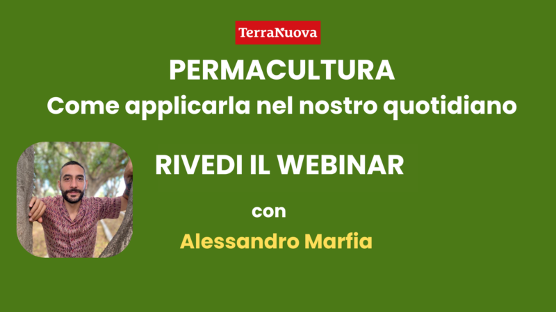 Permacultura. Come applicarla nel tuo quotidiano. Rivedi il webinar