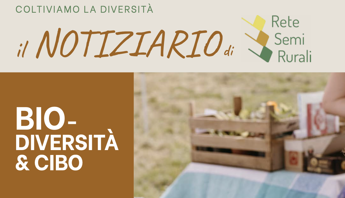 Coltiviamo la diversità: il notiziario della Rete Semi Rurali