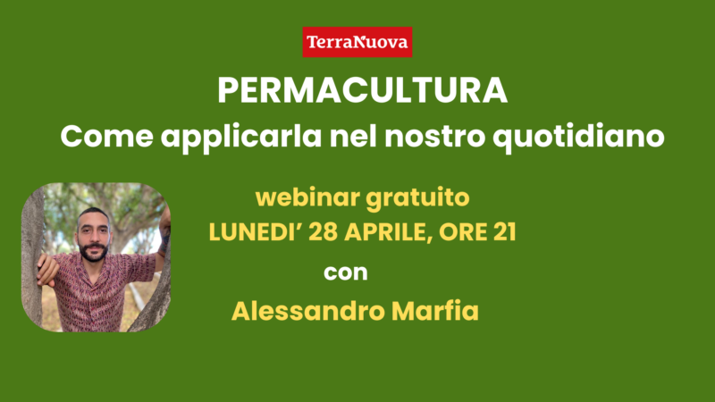 Permacultura, come applicarla nel nostro quotidiano: webinar gratuito