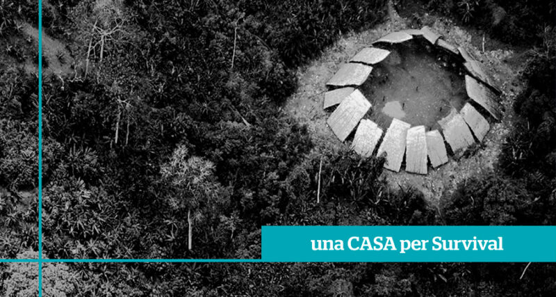 Una sede per Survival: l’organizzazione lancia un crowdfunding