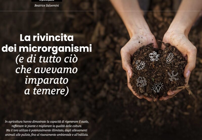 La rivincita dei microrganismi (e di tutto ciò che avevamo imparato a temere)