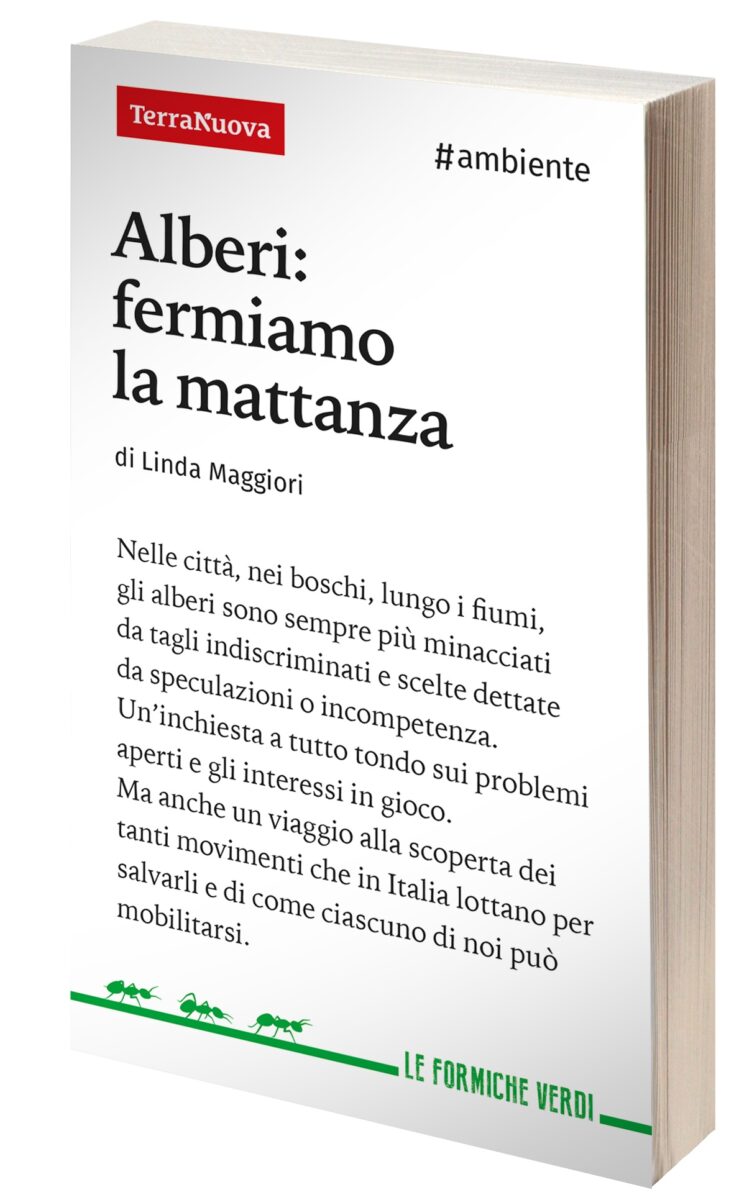 AlberI- fermiamo la mattanza