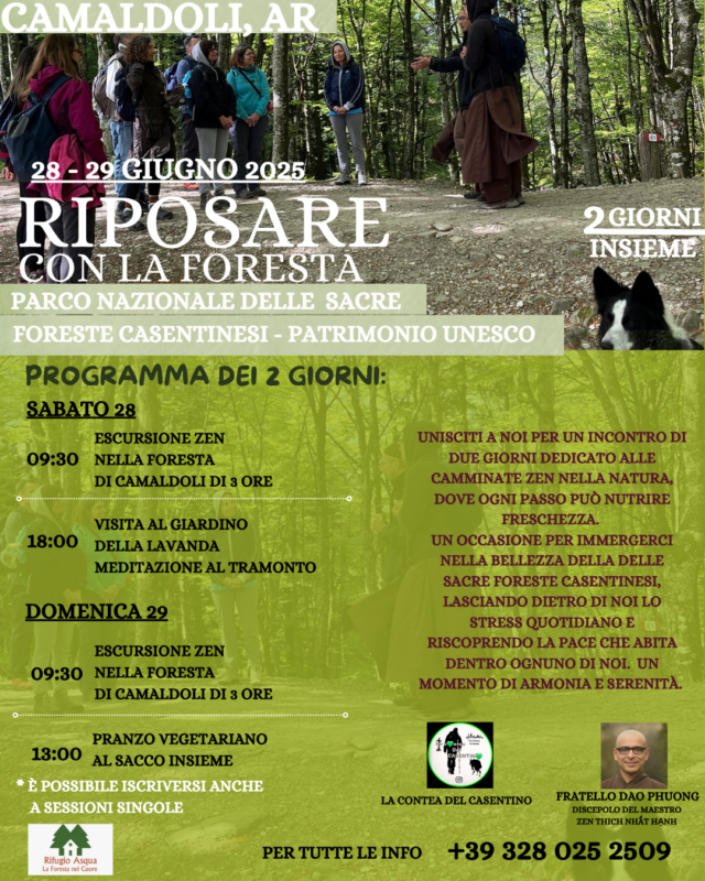 Riposare nella foresta, a Camaldoli (Arezzo)