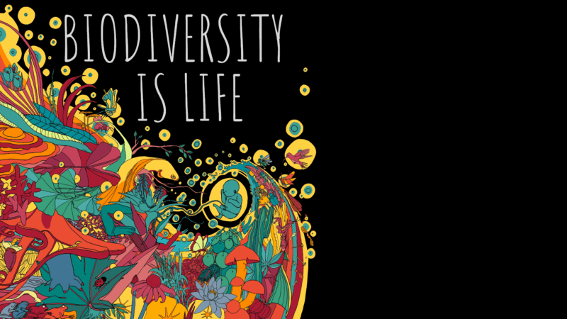 "Biodiversity is life": l'agroecologia nella pratica