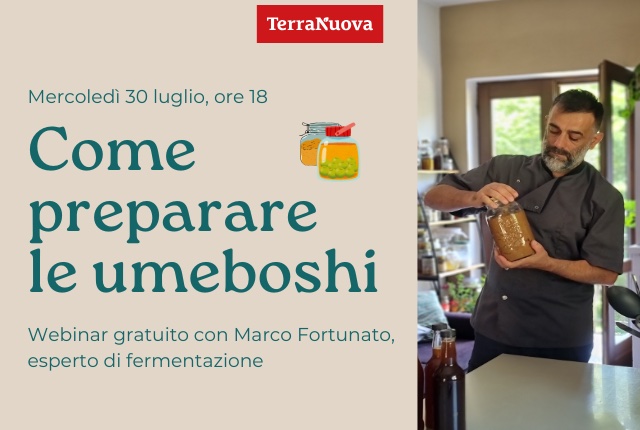 Come preparare le umeboshi: webinar gratuito con Marco Fortunato