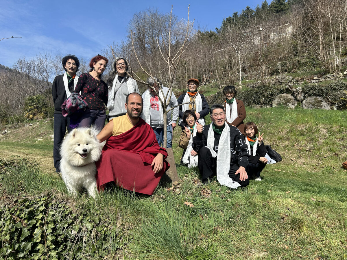 Hiroshima e Nagasaki: un albero per non dimenticare 