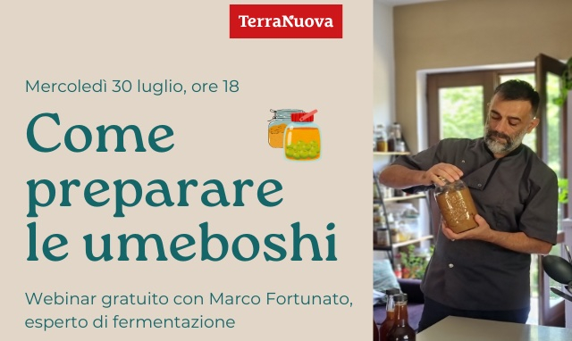 Come preparare le umeboshi: webinar gratuito con Marco Fortunato