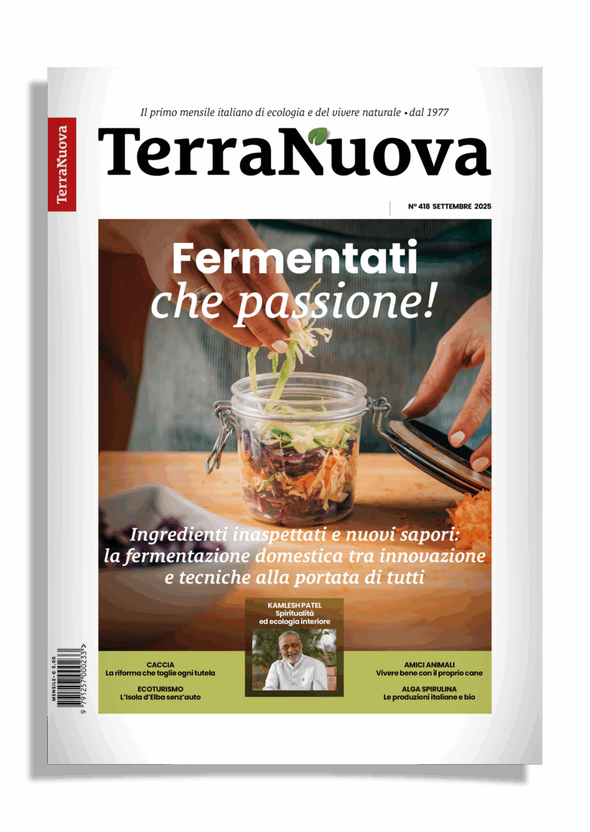 TERRA NUOVA SETTEMBRE 2025