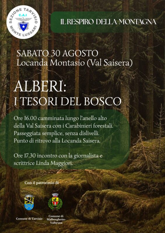 "Alberi: fermiamo la mattanza": se ne parla a Valbruna (Udine)
