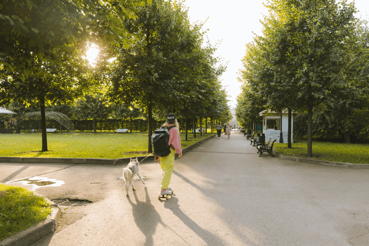 Alberi, preziosi alleati contro il calore