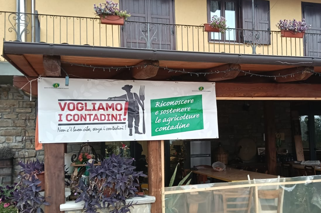 Ari: «Ddl Coltivaitalia, poche novità e per nulla positive»