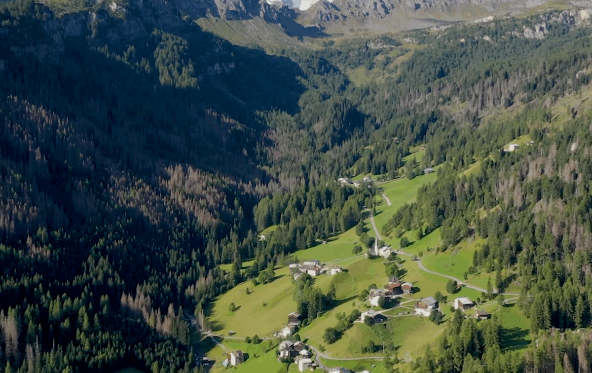 A scuola di pastorizia estensiva