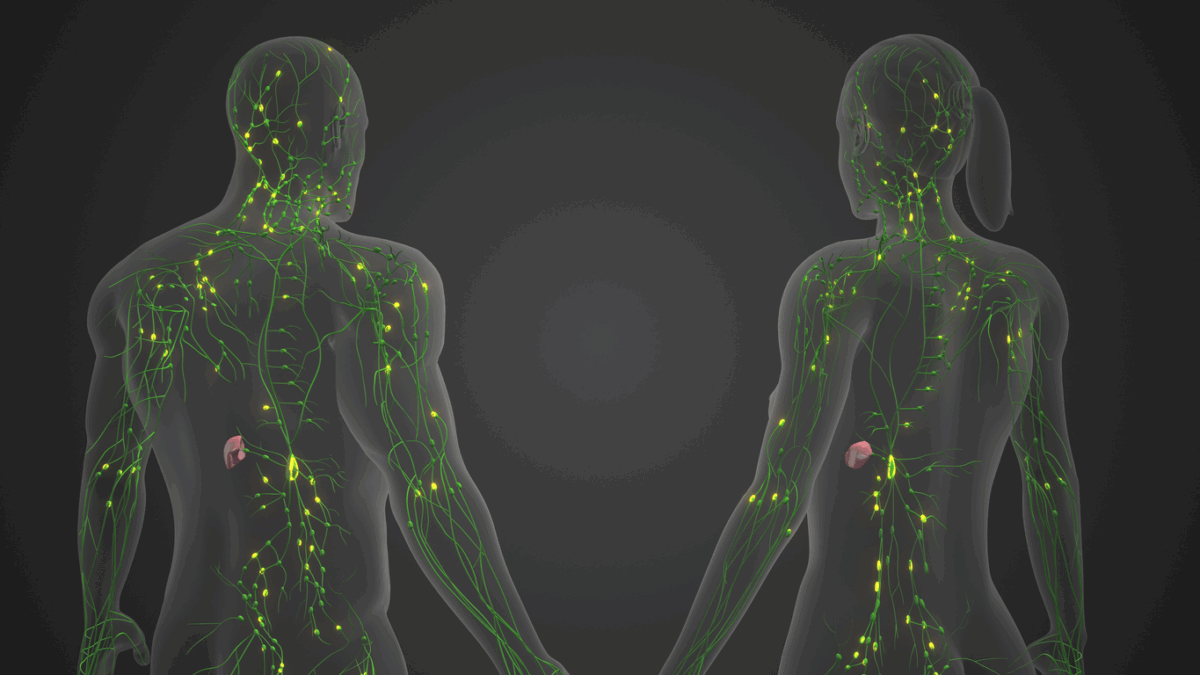 Attenzione al sistema linfatico!