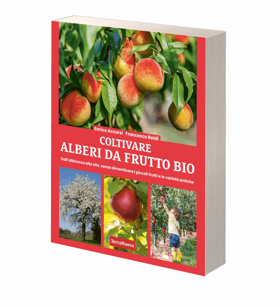 Coltivare alberi da frutto bio