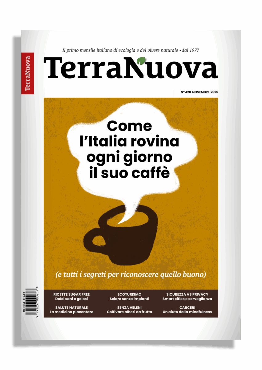 TERRA NUOVA NOVEMBRE 2025