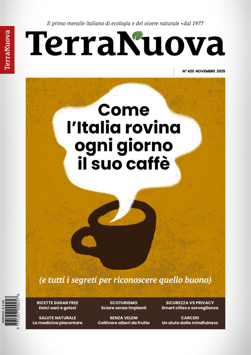 Terra Nuova: è uscito il numero di Novembre 2025