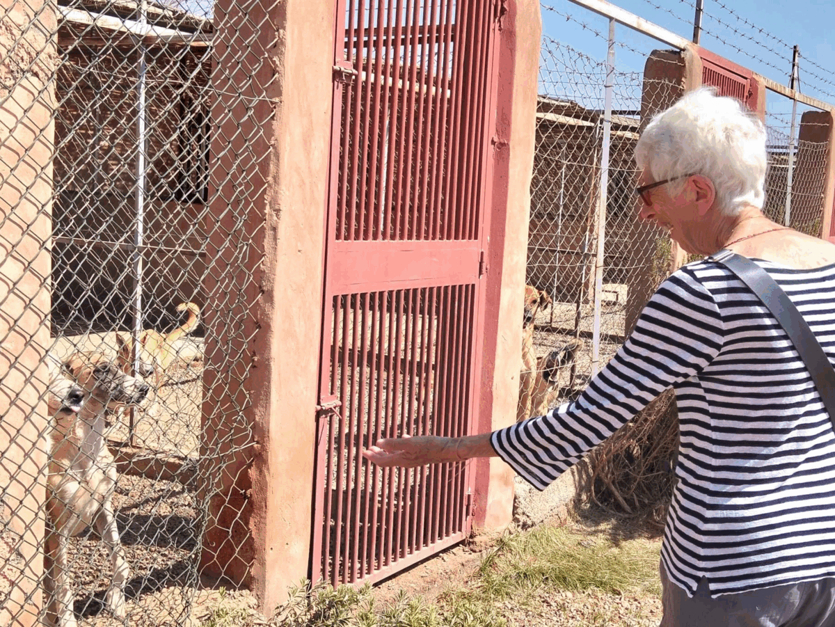 Ubi: in aiuto a un’ecologia a tutto tondo