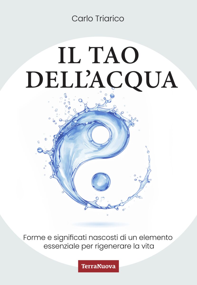Il tao dell'acqua 
