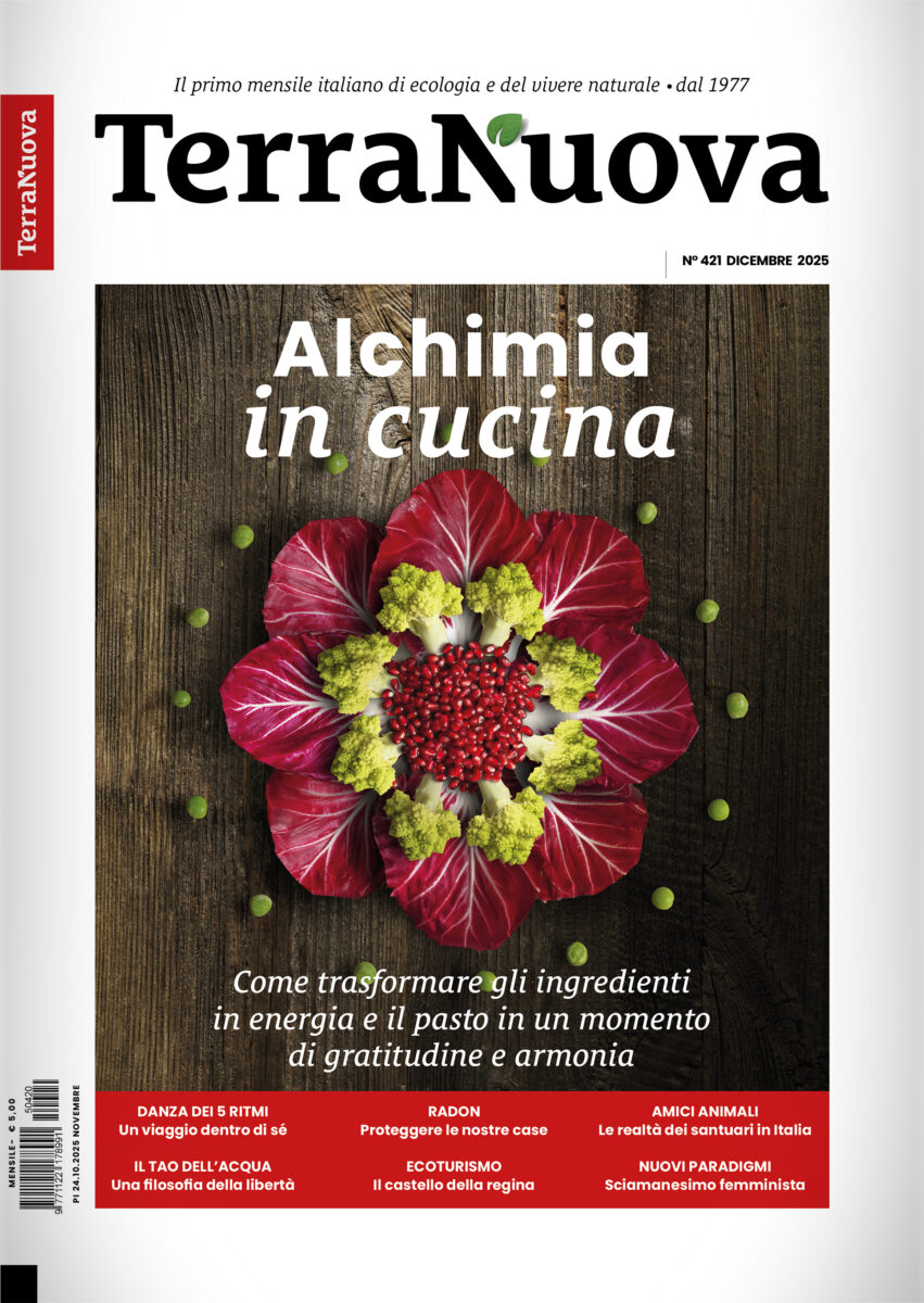 Terra Nuova Dicembre 2025