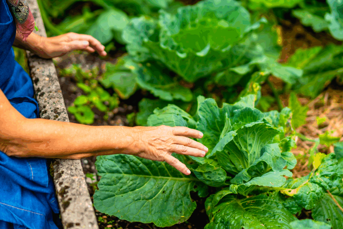Slow Food: «Serve una (gioiosa) rivoluzione nelle abitudini di vita»