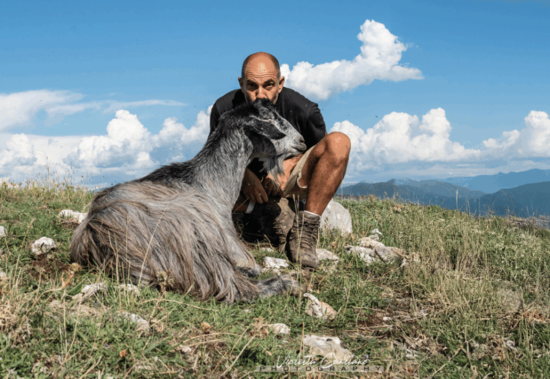 Rete dei Santuari di Animali Liberi