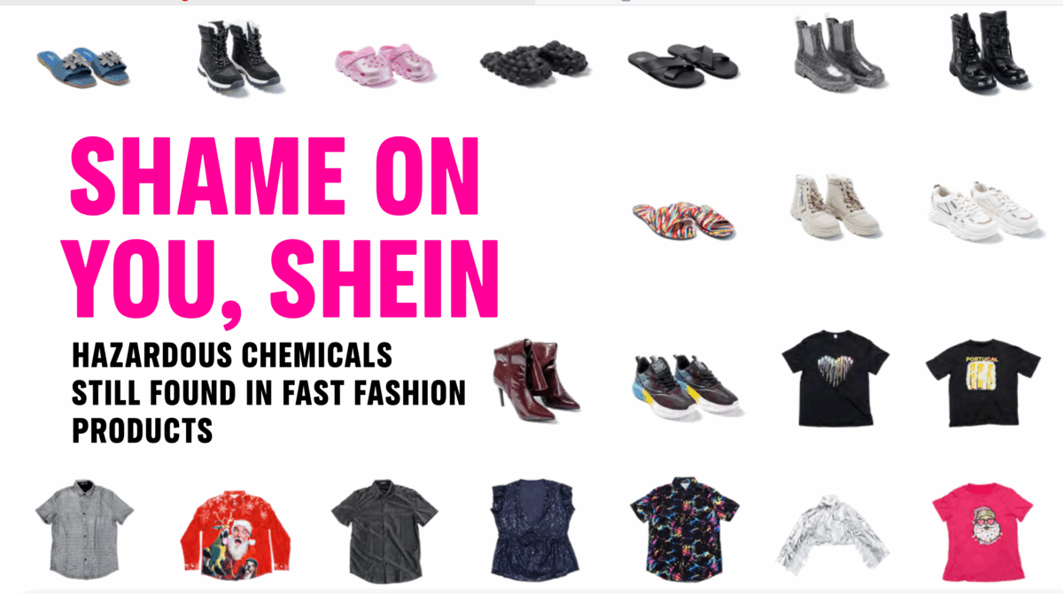 Greenpeace: «Shein, sostanze chimiche pericolose in un terzo dei vestiti»