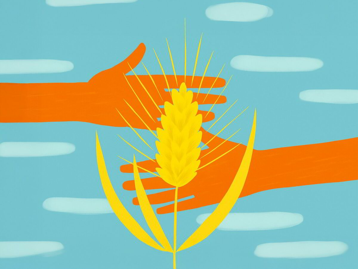 NaturaSì: «No al blackfriday, serve spesa consapevole in agricoltura»