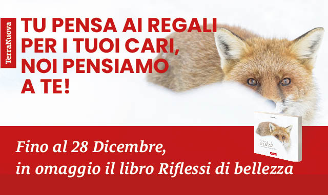 Apri il nostro regalo di Natale per te!
