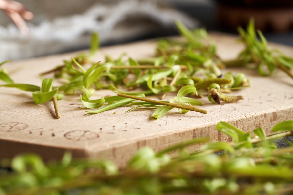 Fitoembrioterapia: la salute grazie a gemme e germogli