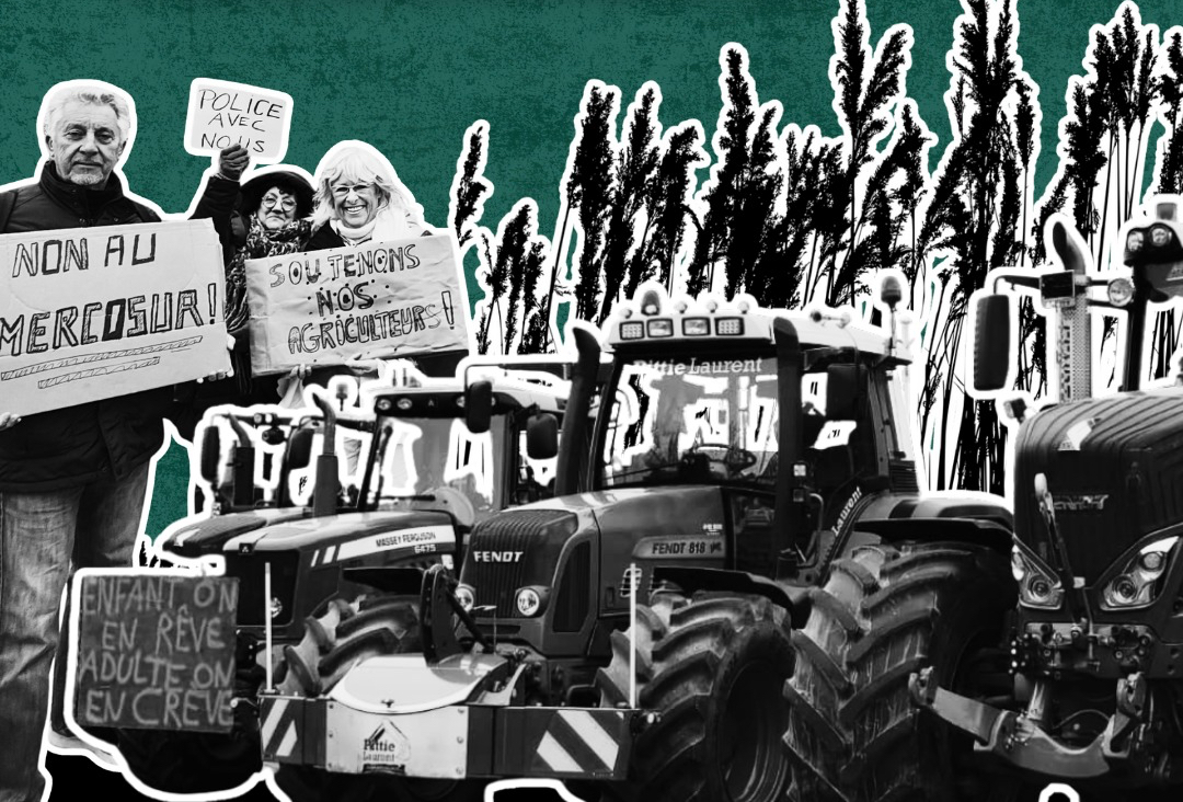 L&rsquo;Europarlamento &ldquo;congela&rdquo; l&rsquo;accordo Ue-Mercosur