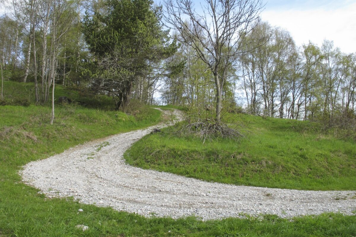 Cuneo: alpeggio in cerca di pastore